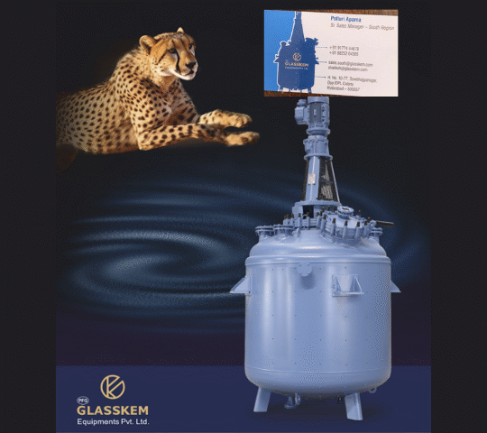 Glass Lined Reactors Glass Lined Reactors