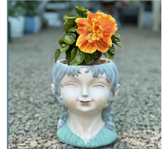 Mandara Nursery Mandara Nursery